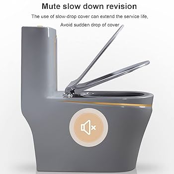 Amazon | セラミックトイレ、グレーデュアルフラッシュ延長標準